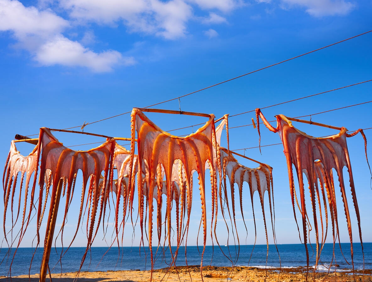 PULPO SECO del Mediterraneo