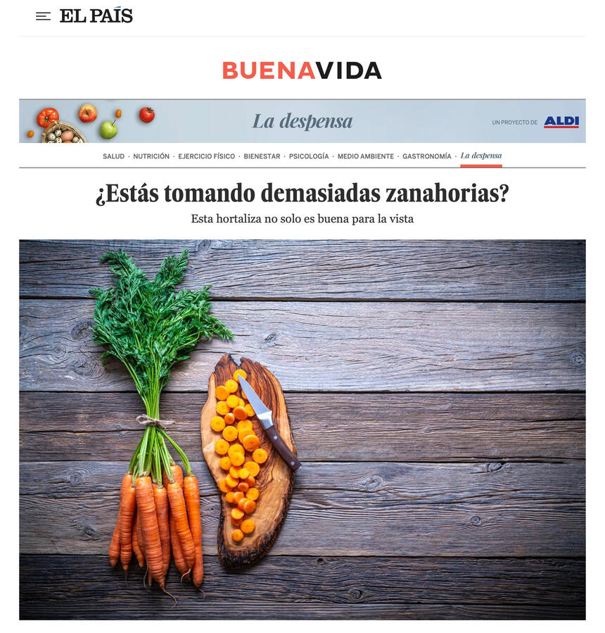 EL PAIS: La despensa de Aldi