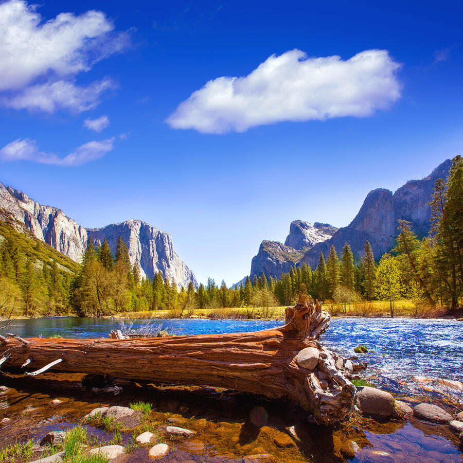 YOSEMITE Merced River